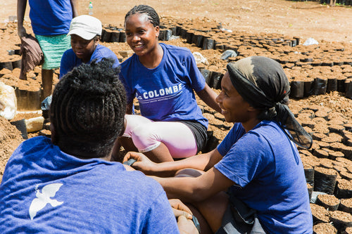 Camp Coffee, Colonialism, and the Evolution of a Brand — The Pourover