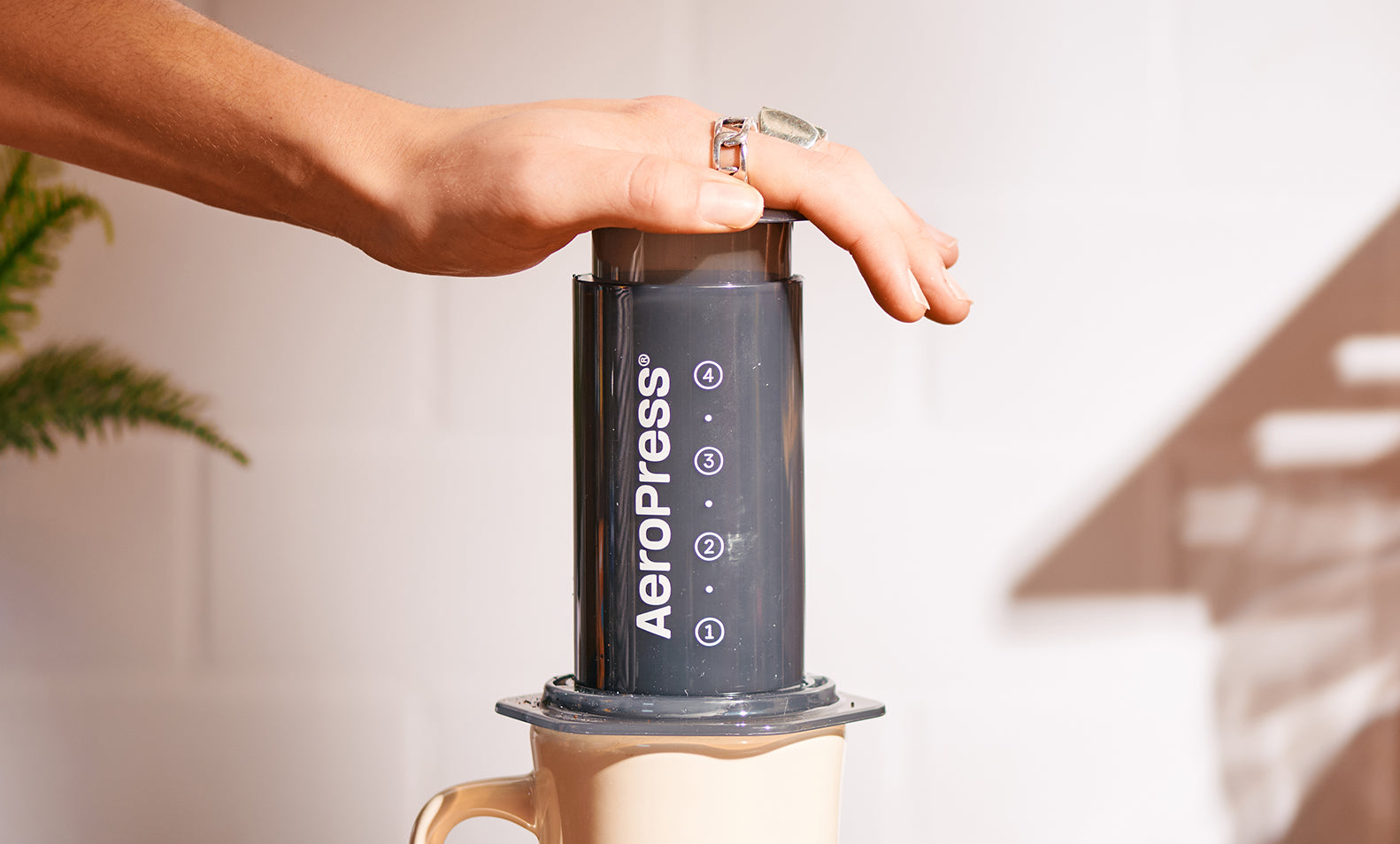 Cafetera Aeropress - Zeri´s Coffee Roaster